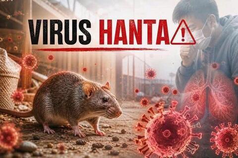 Thông tin về bệnh do vi rút Hanta