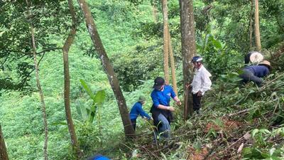 Đoàn thanh niên TTYT Phong Thổ tham gia trồng cây tại xã Khổng Lào - Phong Thổ Lai Châu