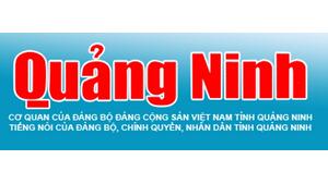 LIÊN KẾT WEBSITE