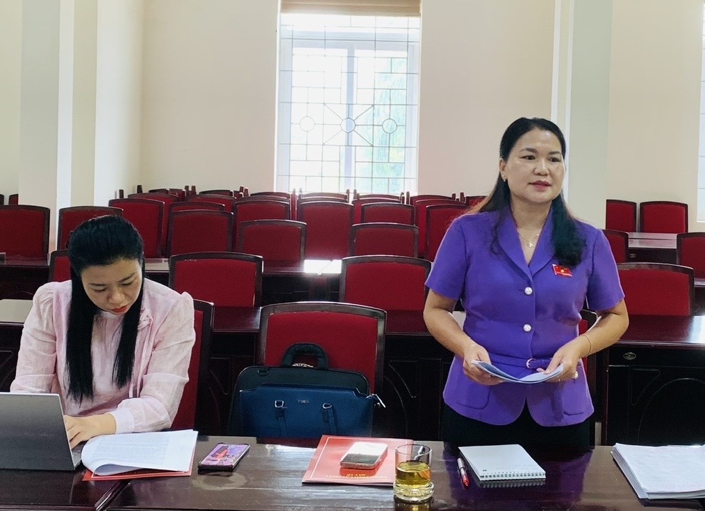 Hội đồng Nhân dân tỉnh giám sát tại Sở Y tế