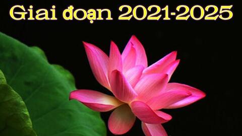 Nội dung cải cách hành chính giai đoạn 2021-2025